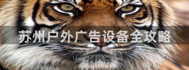 杏宇平台登录步骤