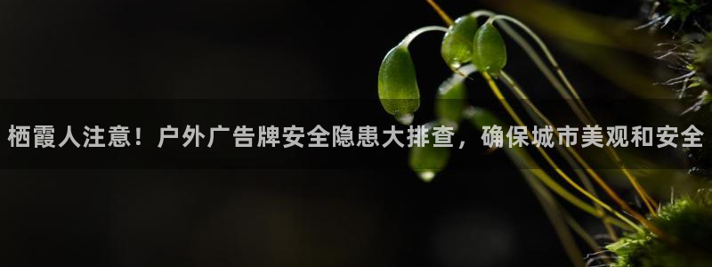 杏宇平台怎么样知乎