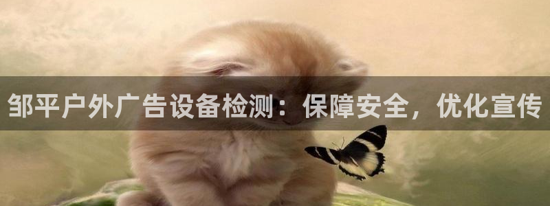 杏宇平台代理怎么赚钱的