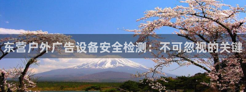 杏宇平台注册地址