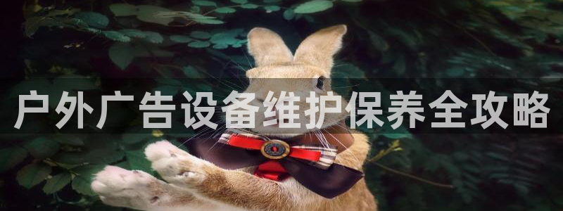 杏宇平台客服