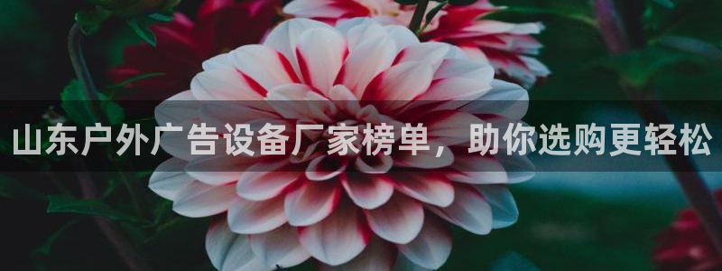 杏宇平台怎么样