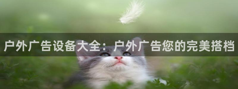 杏宇平台开户