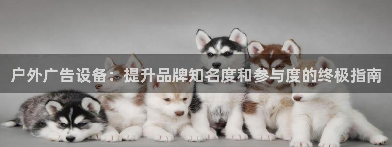 杏宇平台怎么样