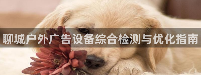 杏宇平台开户：聊城户外广告设备综合检测与优化指南