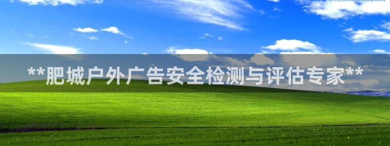 杏宇平台代理：**肥城户外广告安全检测与评估专家**