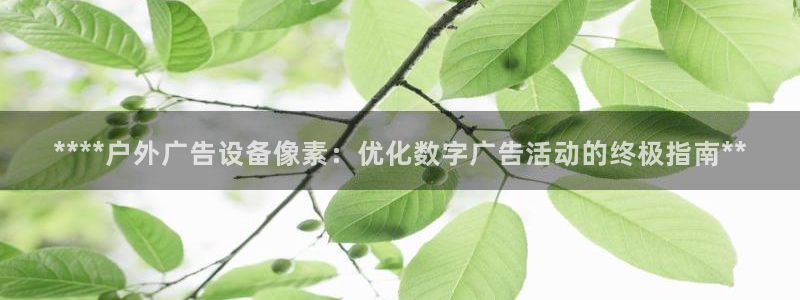 杏宇平台招商电话号码：****户外广告设备像素：优化数字广告活动的终极指南**