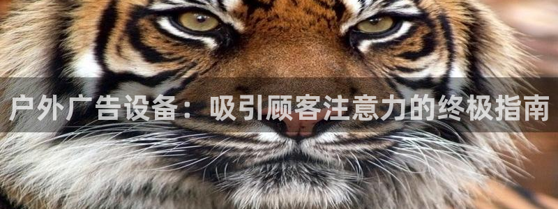 杏宇平台代理怎么样：户外广告设备：吸引顾客注意力的终极指南