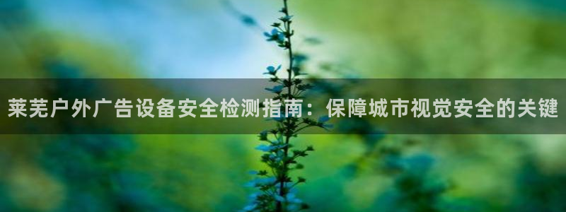 杏宇官方平台官网入口：莱芜户外广告设备安全检测指南：保障城市视觉安全的关键