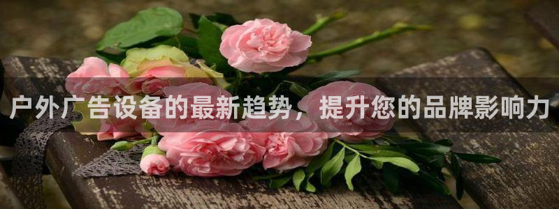杏宇平台代理多少钱：户外广告设备的最新趋势，提升您的品牌影响力