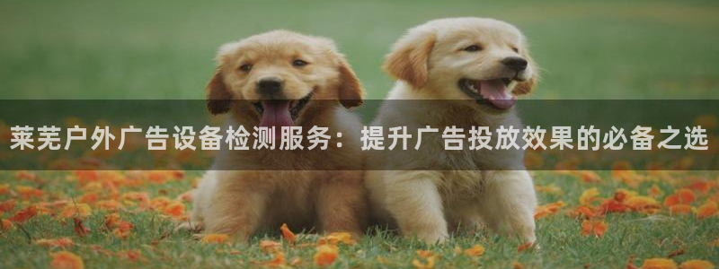 杏宇平台提现为什么这么久呢：莱芜户外广告设备检测服务：提升广告投放效果的必备之选