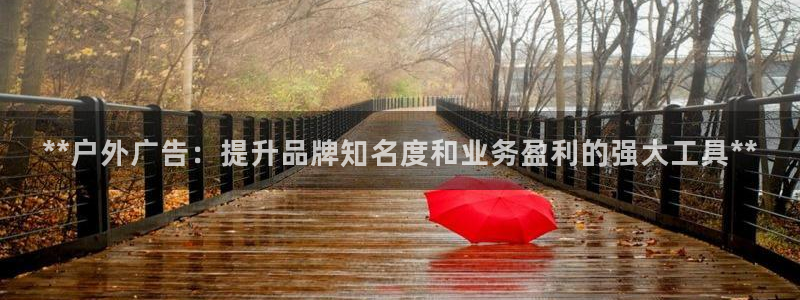 杏宇平台是什么：**户外广告：提升品牌知名度和业务盈利的强大工具**