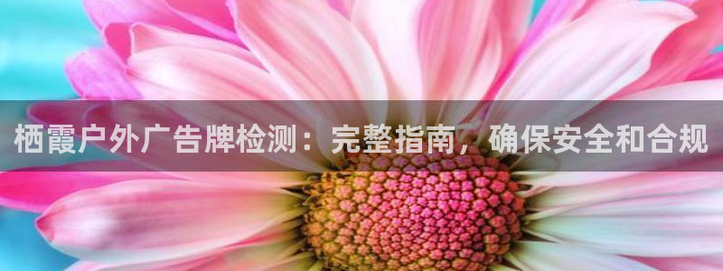 杏宇平台注册地址在哪里：栖霞户外广告牌检测：完整指南，确保安全和合规
