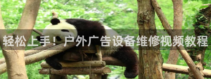 杏宇代理注册