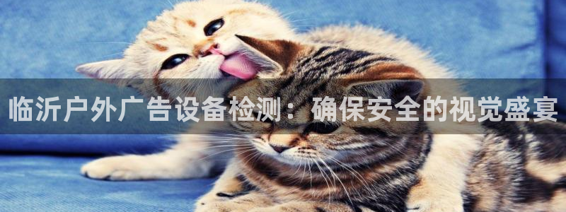 杏宇平台是什么：临沂户外广告设备检测：确保安全的视觉盛宴