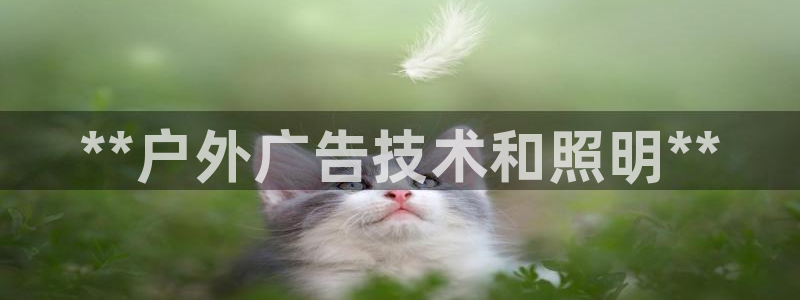 杏宇平台官网注册：**户外广告技术和照明**
