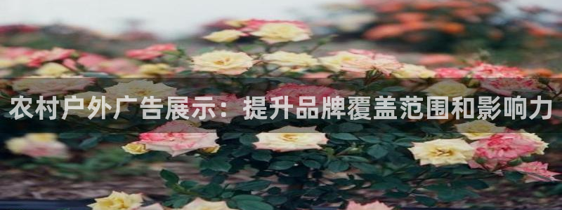 杏宇平台怎么样