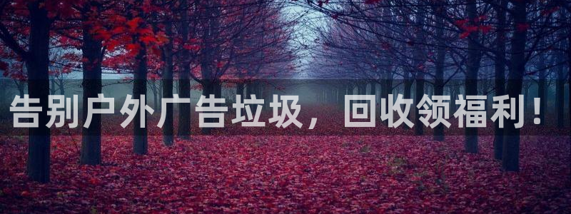 杏宇平台总代理电话