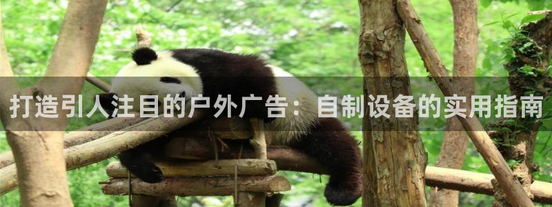 杏宇平台代理怎么样可靠吗