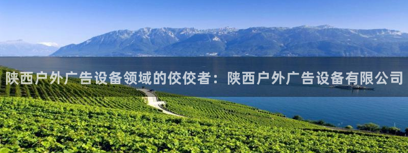 杏宇平台总代理电话：陕西户外广告设备领域的佼佼者：陕西户外广告设备有限公司