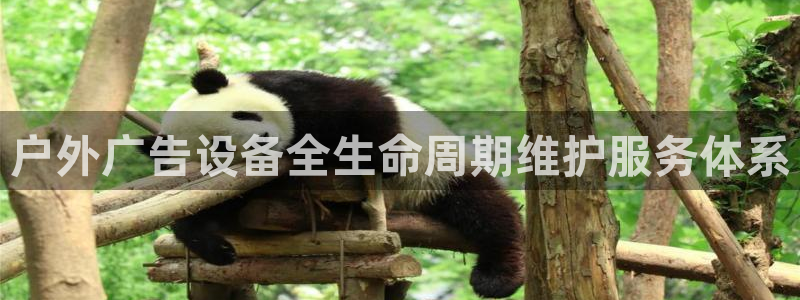 杏宇平台代理怎么样可靠吗