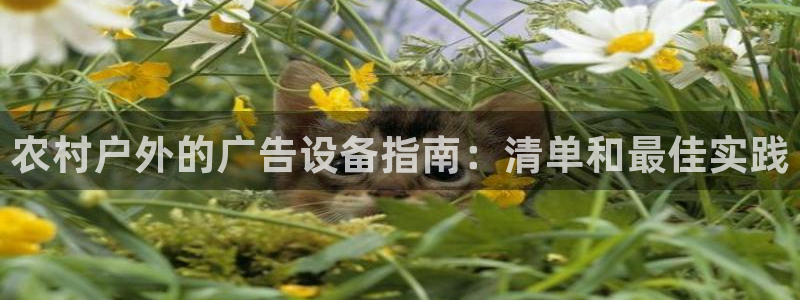 杏宇平台代理怎么赚钱快