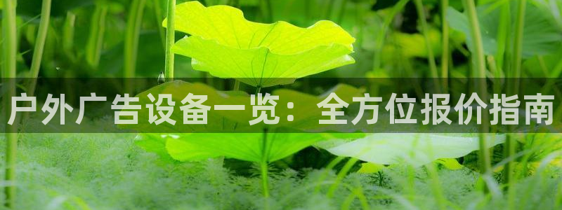 杏宇平台代理多少钱一个