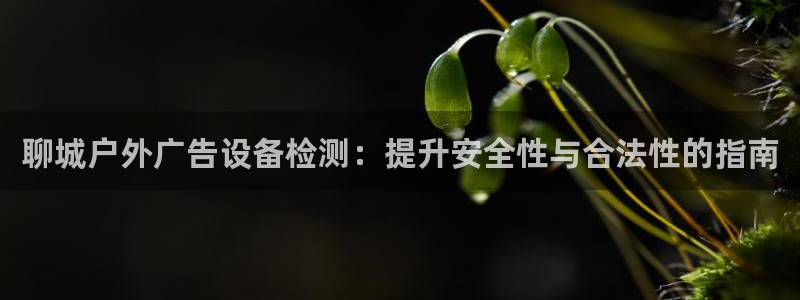 杏宇平台好吗：聊城户外广告设备检测：提升安全性与合法性的指南