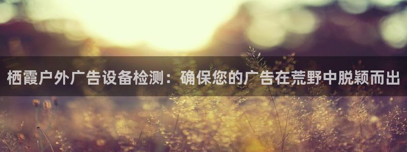 杏宇平台怎么样赚钱