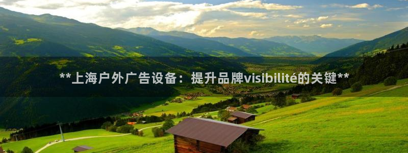 杏宇平台招商电话号码：**上海户外广告设备：提升品牌visibilité的关键**