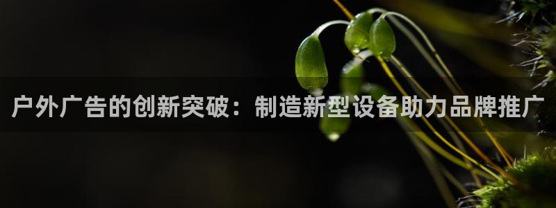杏宇官方平台官网：户外广告的创新突破：制造新型设备助力品牌推广