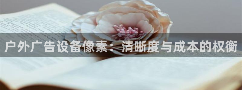 杏宇平台注册登录
