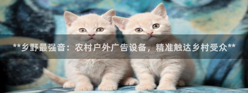 杏宇平台官网注册