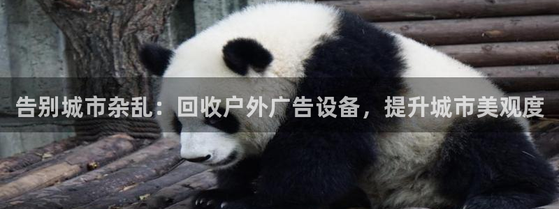 杏宇平台代理多少钱