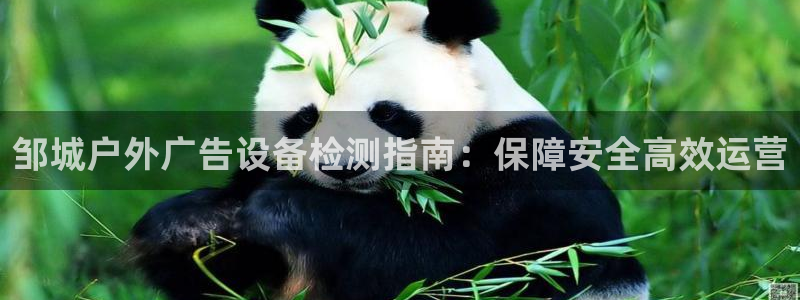 杏宇平台代理怎么样可靠吗