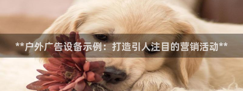 杏宇平台代理怎么赚钱：**户外广告设备示例：打造引人注目的营销活动**