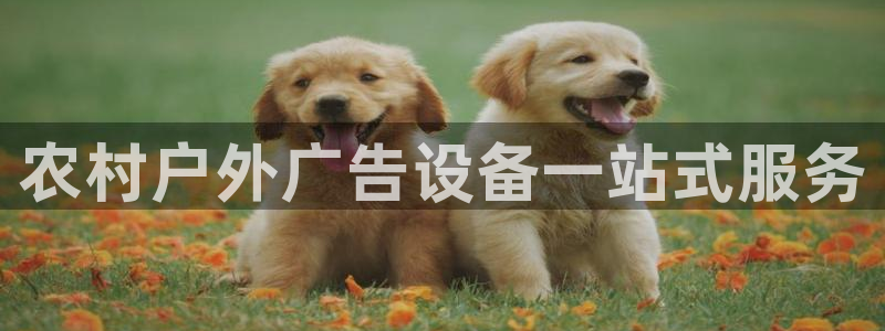 杏宇平台代理多少钱一个月