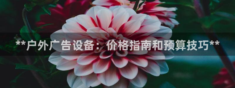 杏宇平台注册登录