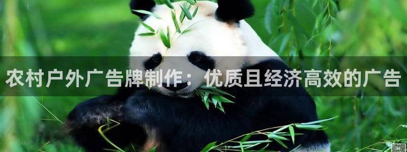 杏宇平台代理多少钱一次