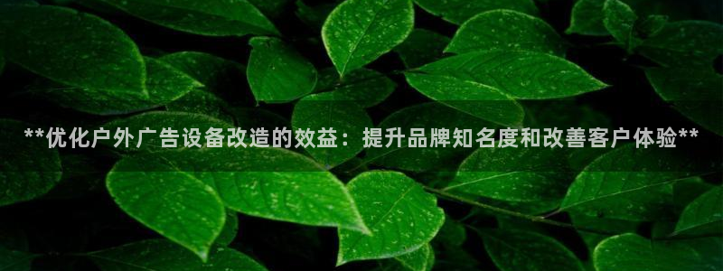 杏宇平台官网注册：**优化户外广告设备改造的效益：提升品牌知名度和改善客户体验**