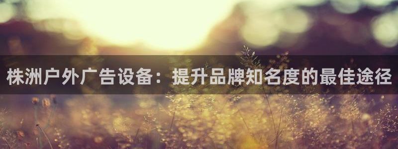 杏宇平台登录步骤图：株洲户外广告设备：提升品牌知名度的最佳途径