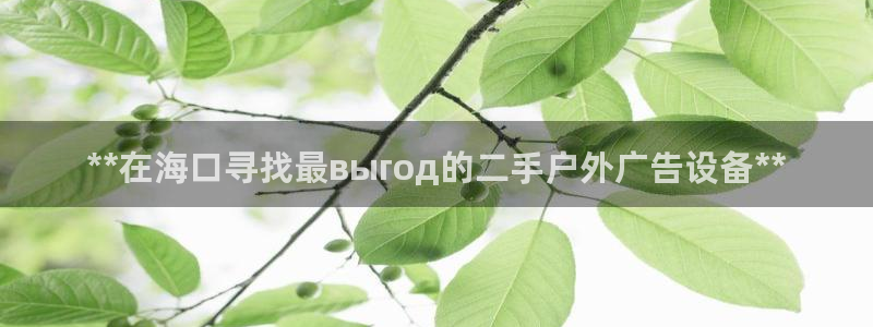 杏宇平台官网注册：**在海口寻找最выгод的二手户外广告设备**
