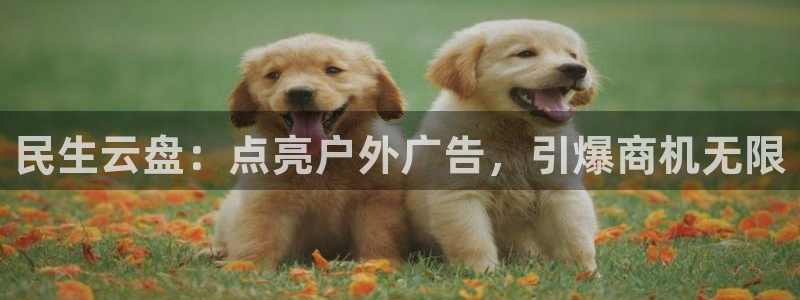 杏宇平台代理怎么样