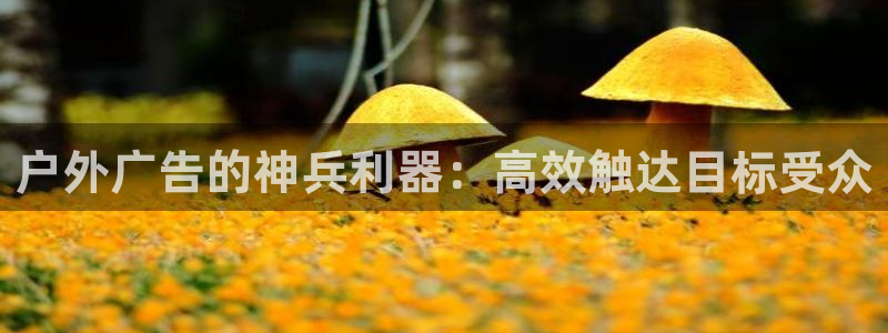 杏宇平台好吗