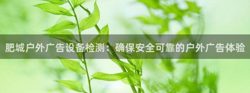 杏宇平台代理：肥城户外广告设备检测：确保安全可靠的户外广告体验