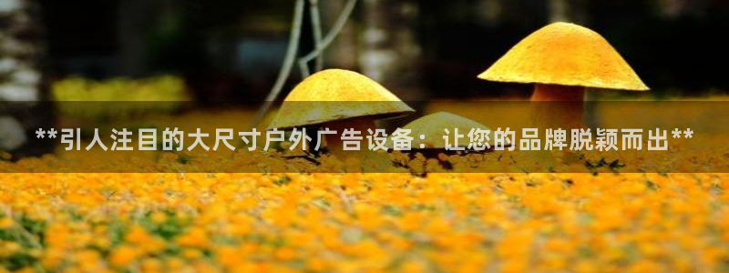杏宇平台登陆