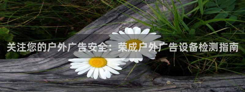 杏宇平台注册登录
