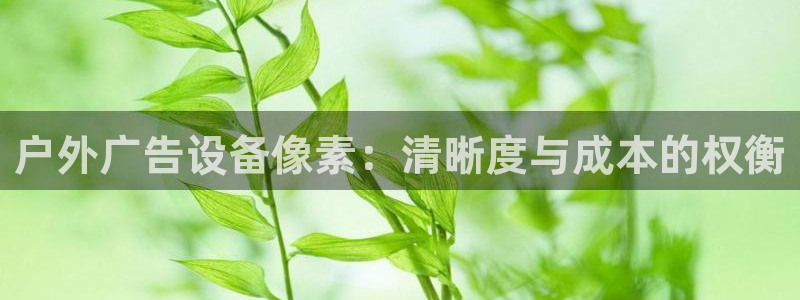 杏宇平台登录步骤