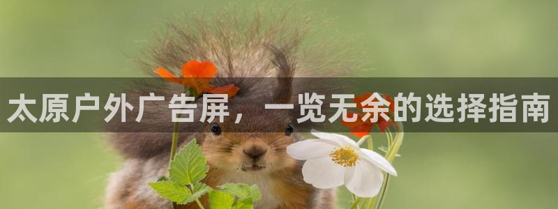 杏宇平台是什么