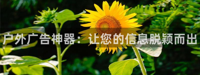 杏宇平台登录方法